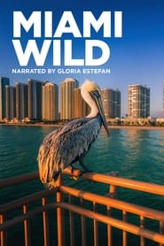 Miami Wild (2022)