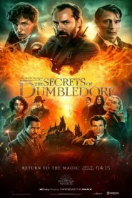 Fantastic Beasts: The Secrets of Dumbledore (2022)