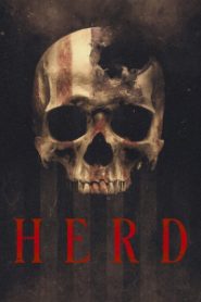 Herd (2023)